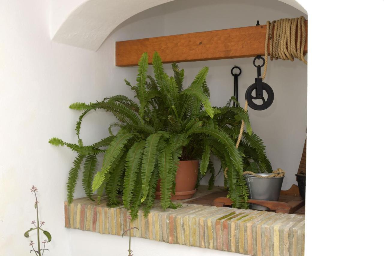 Apartament Casa Arbonaida Vejer de la Frontera Zewnętrze zdjęcie