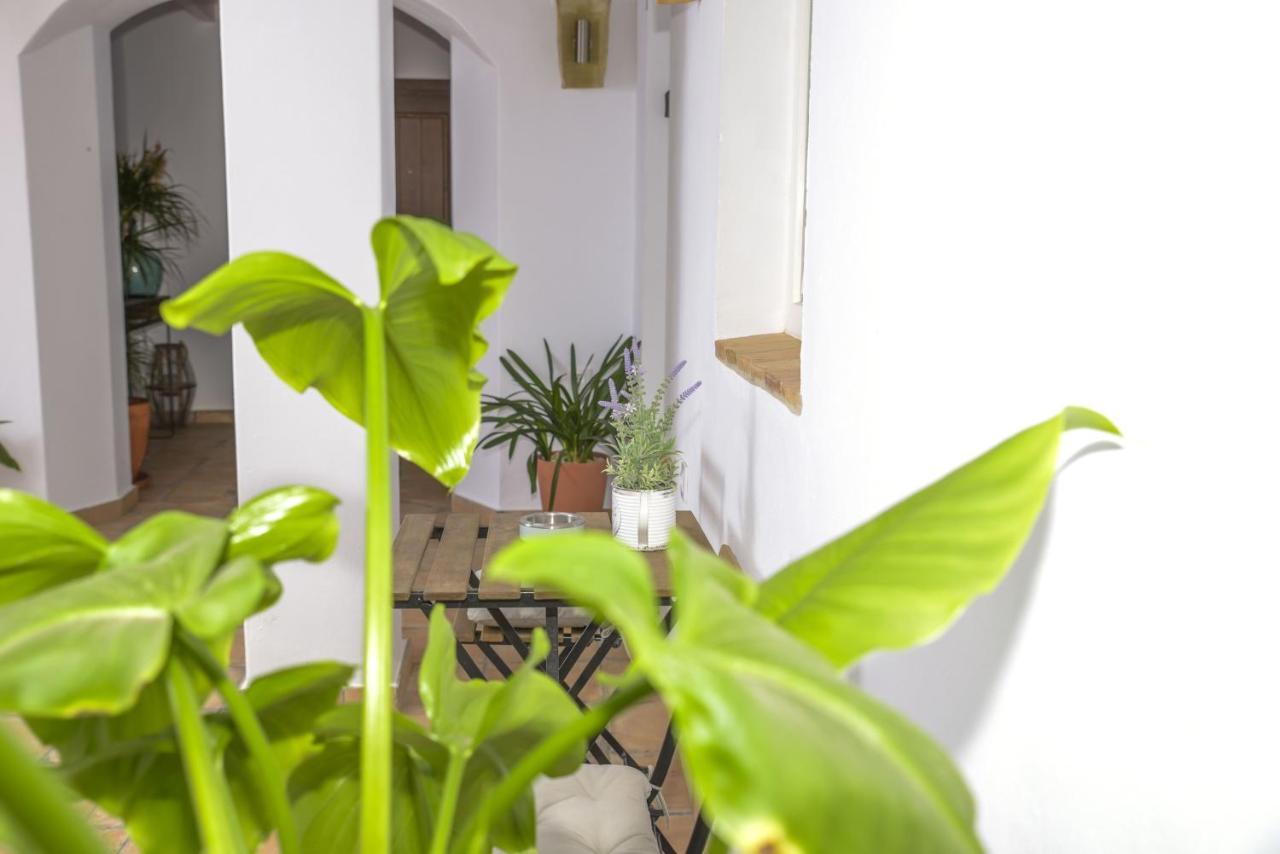 Apartament Casa Arbonaida Vejer de la Frontera Zewnętrze zdjęcie